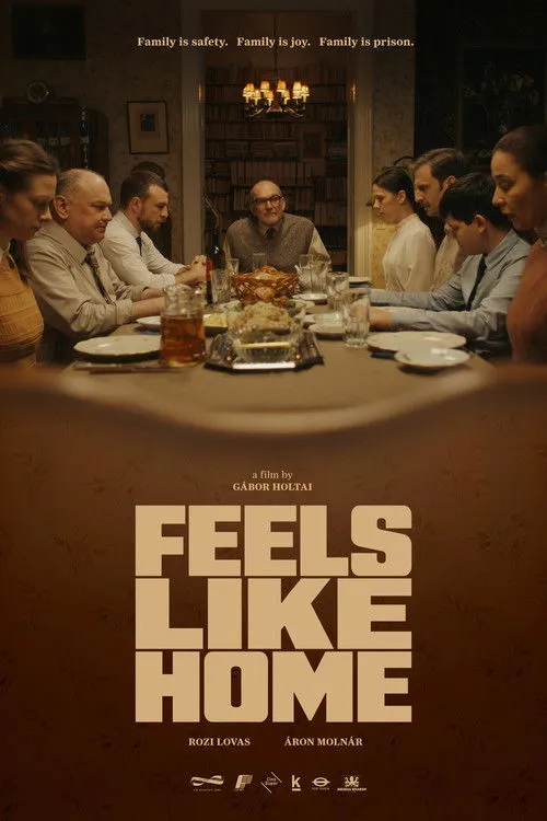 Download Feels Like Home (Season 1 – 2) Hindi Lionsgate Play Complete WEB Series 480p | 720p HDRip 10 feels like home season 1
