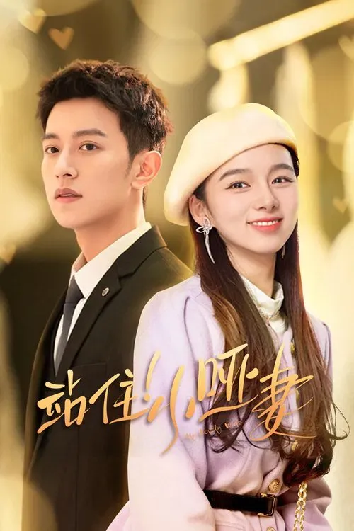 Download My Lovely Wife (Season 1) Hindi ORG Dubbed C Drama Series 480p 720p & 1080p WEB DL 7 my lovely wife season 1