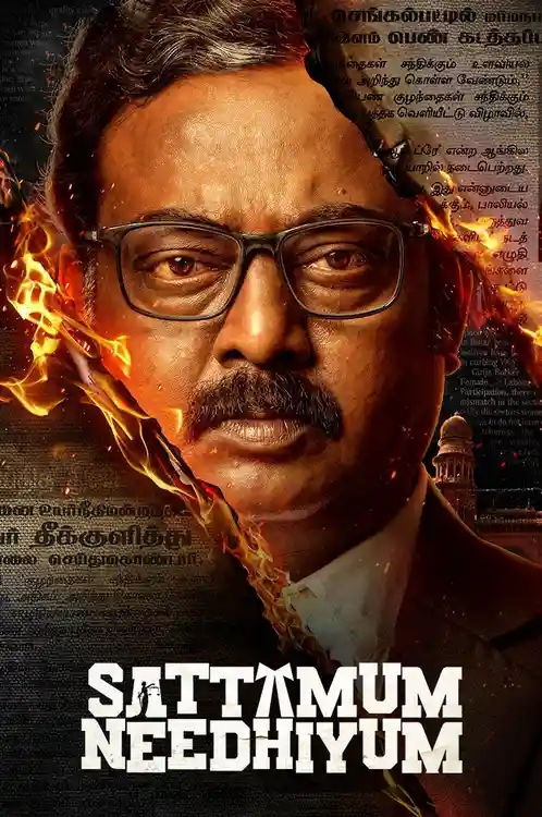 Download Sattamum Needhiyum (Season 1) Hindi Complete Zee5 Web Series 480p | 720p | 1080p WEB DL 19 sattamum needhiyum season 1