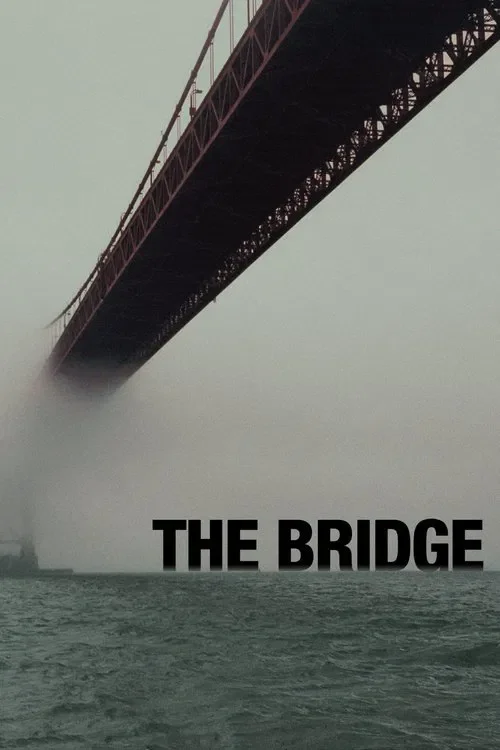 Download The Bridge (Season 1 β 4) Dual Audio {Hindi English} 480p | 720p | 1080p AMZN WEB DL 4 the bridge season 1